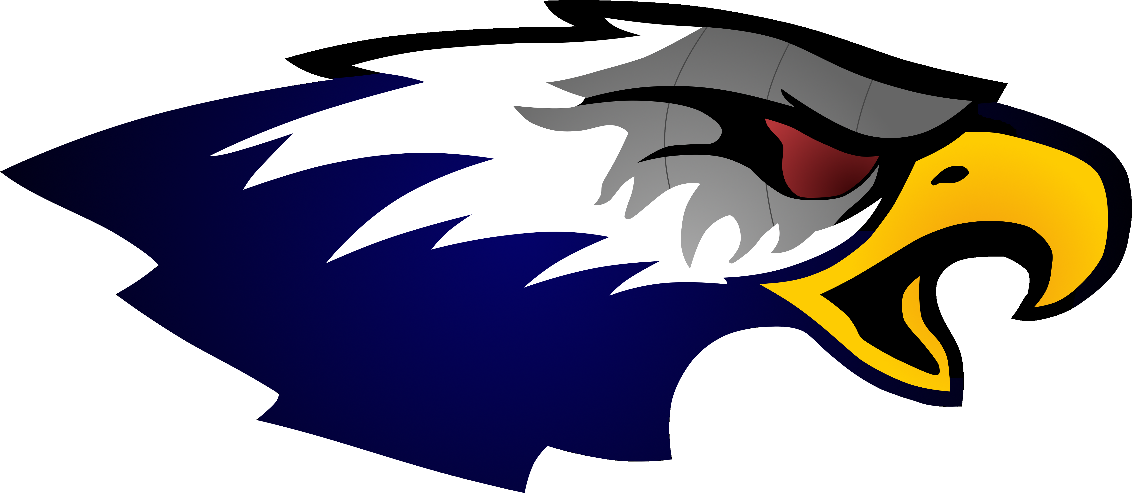 Hauppauge Robotic Eagles Team - Inspiration And Recognition Of Science And Technology (4695x2062)