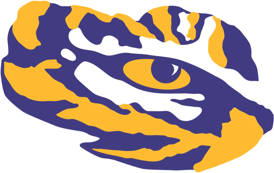 Lsu Dirt - Lsu Tiger Eye Png (1040x723)
