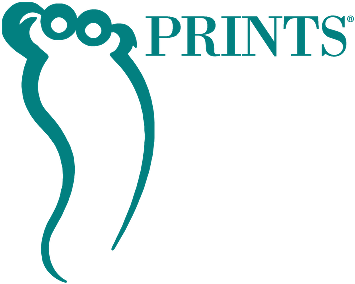 Copyright - Graphic Design (780x666)