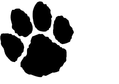 Jaguar Paw Prints Free Jaguar Paw Print Download Free - Jaguar Paw Print (500x300)