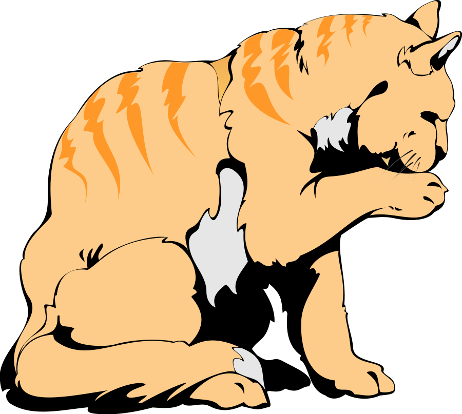 Orange Cat Art Design Large 900pixel Clipart, Orange - Cat Tin Sign Cat Vs. Dog - 31120a (900x807)