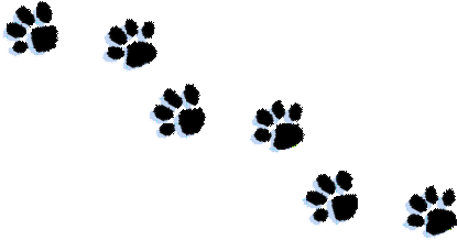 Cat Paw Print Clipart Kid - Dachshund (437x300)