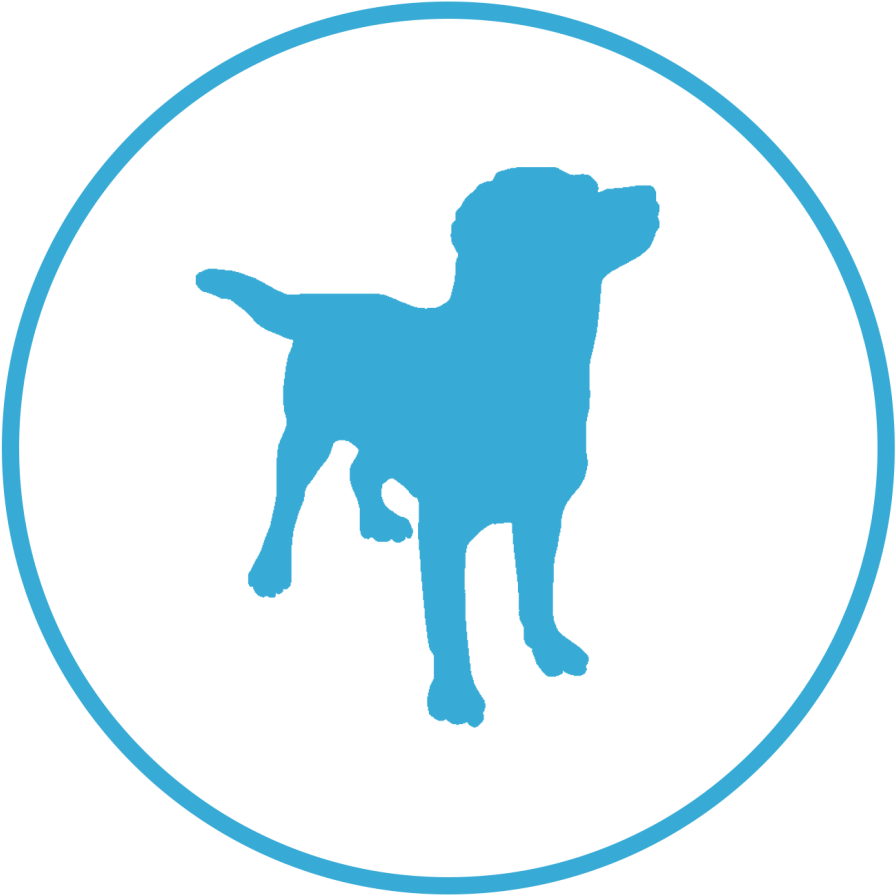 Get A Dog - Got Chocolate Lab Apparel (2048x2048)
