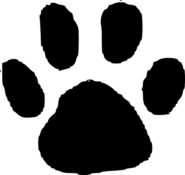 Elephant Outline Printable - Animal Footprint (640x604)