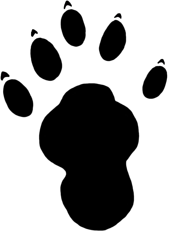Paw Prints Clipart Paw Prints Clipart Free Clip Art - Clip Art (609x816)