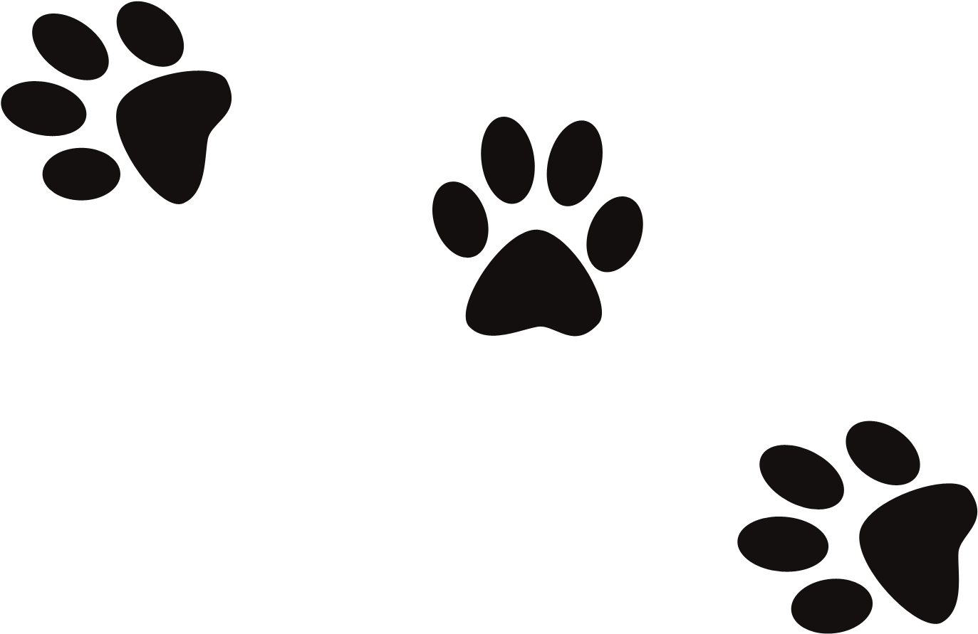 Conjuring Creek Boarding Kennels News - Dog Footprint Logo Png (1980x1440)