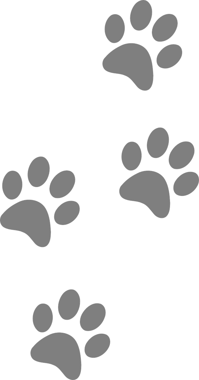Share - Dog Paws Clipart (672x1280)