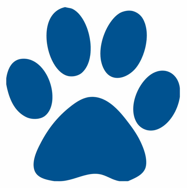 Pressure Washing Clipart - Purple Cat Paw Print (797x800)
