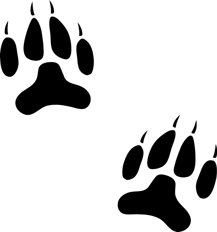 Dog Paw Prints Stamp - Paw (749x800)