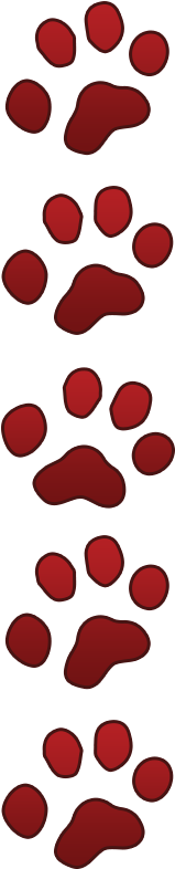 Paw Prints - Worksheet (200x800)