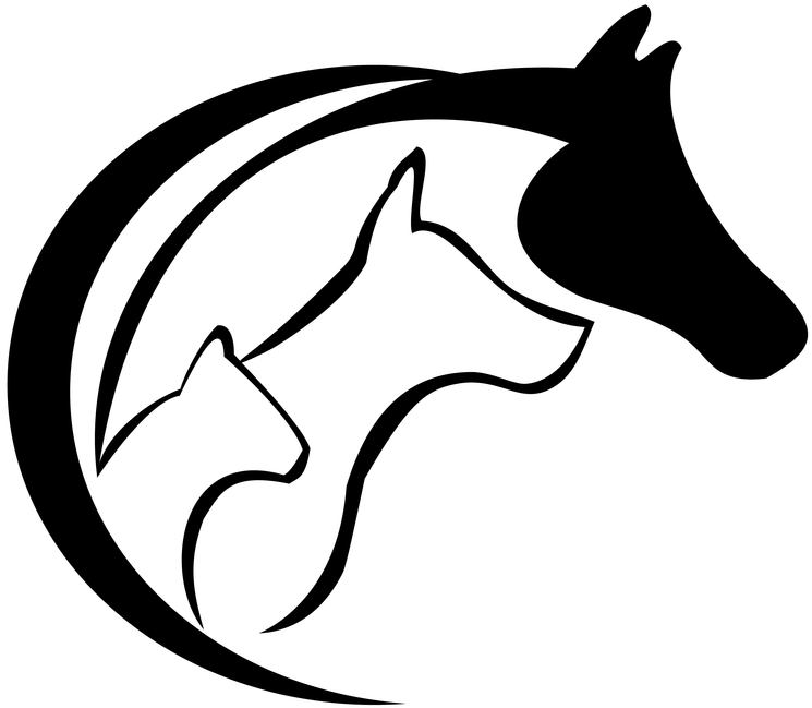 Dog Walker In Southport - Cat Dog Silhouette Png (760x800)