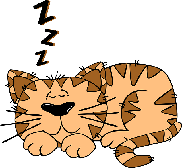 Boy Animals, Baby, Cat, Monkey, Mouse, Black, People, - Cat Sleeping Clipart (640x590)