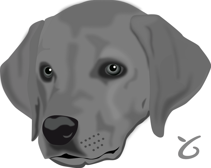 Dog Head Clipart, Vector Clip Art Online, Royalty Free - Head Of A Dog (900x715)