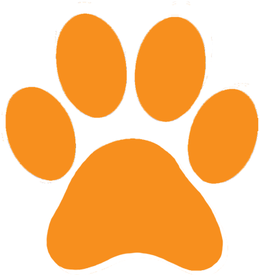 Connect - Ed Sheeran Dog Paw (400x400)