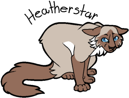 1 May 2017 / - Warriors (500x402)