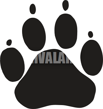 Dog - Paw - Clipart - Dog Paw Print (340x361)