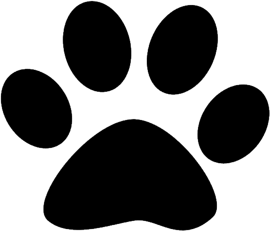 Sonic X Ctiger Paw Prints Colouring Pages - Small Dog Paw Print (779x779)