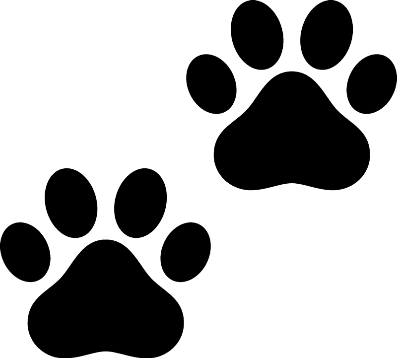 Paw Prints Rubber Stamp - Dog Paw Print Outline (800x721)