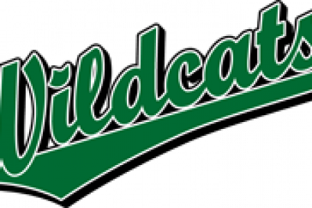 Wildcat Clipart Green - Green Wildcat Logo (450x300)