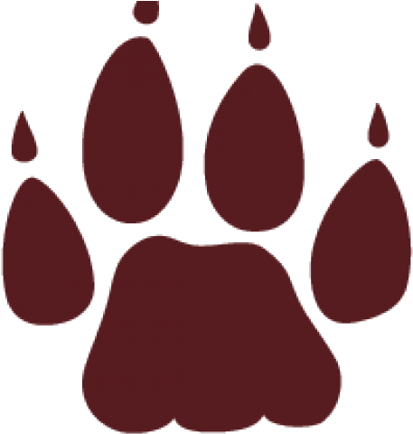 Texas State Bobcat Paw - Texas State Bobcat Paw (640x480)