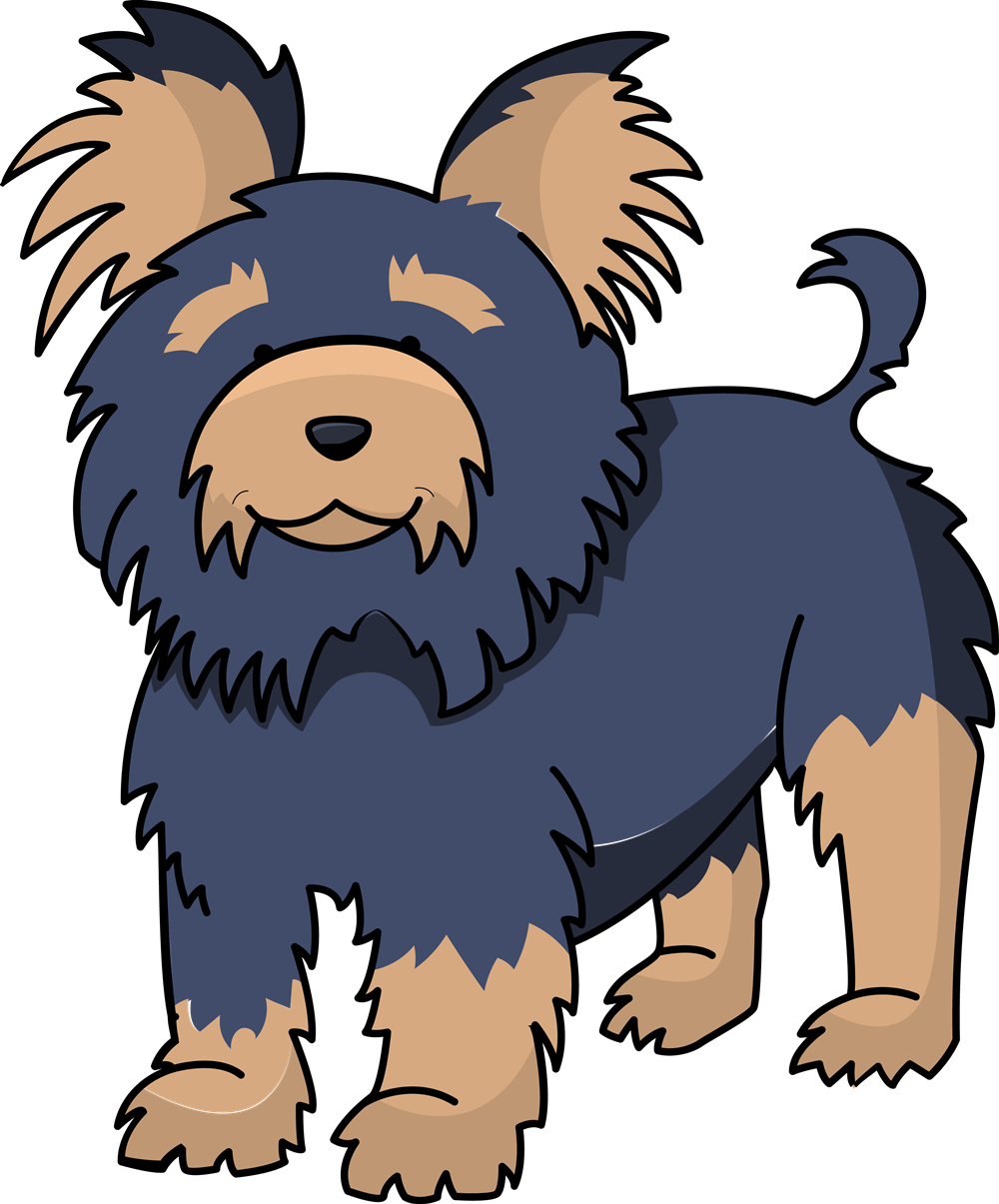 Free To Use Amp Public Domain Dog Clip Art - Yorkshire Terrier Cartoon Png (1000x1205)