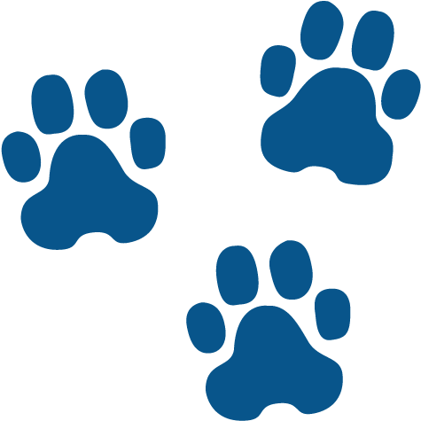 Pawprintsscreen - Blue Dog Paw Prints (500x500)