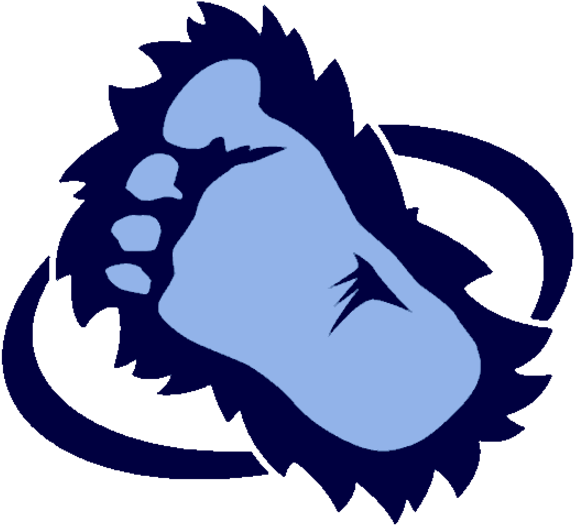 Colorado Avalanche Foot Logo (600x559)