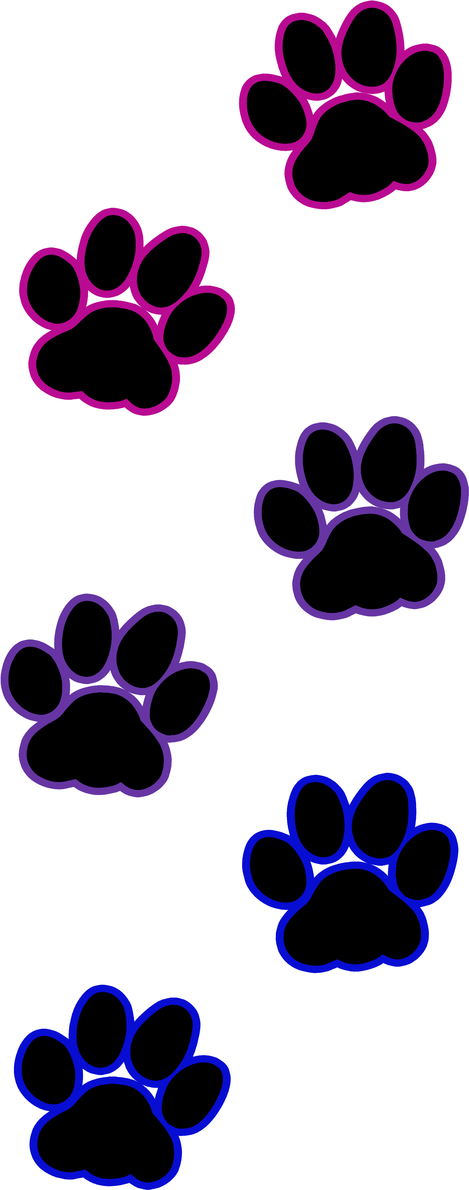 Cat Paws Png (3600x4800)