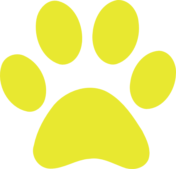 Green Paw Print Background (600x578)