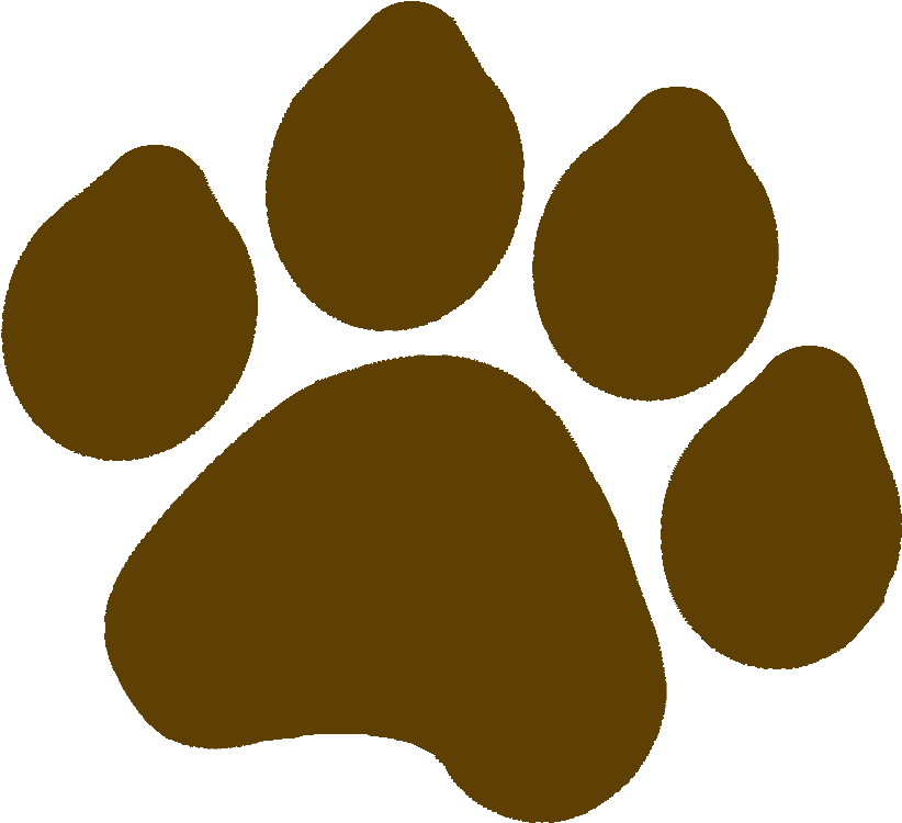 Dog Paw Cat Printing Clip Art - Google Images Paw Print (1095x1088)