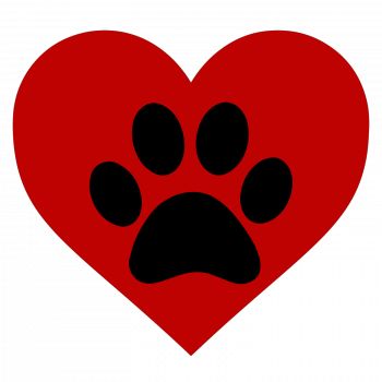 We Are A Network Of Peer Supporters At The College - Love Veterinary Medicine (350x350)