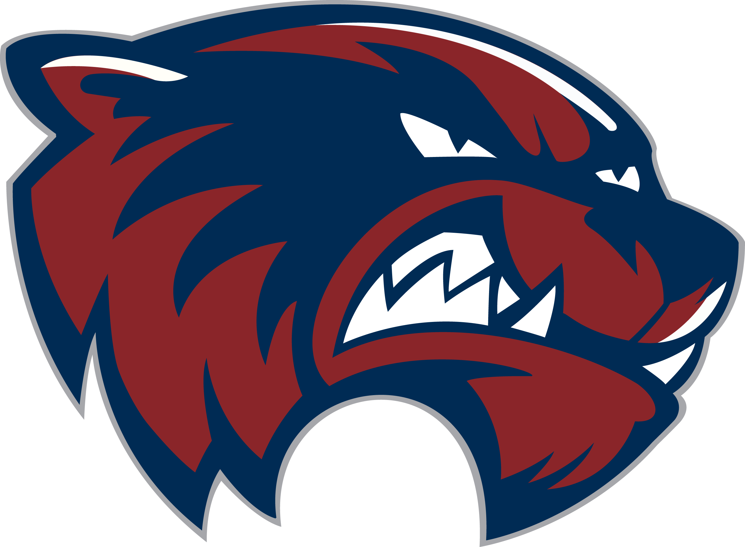 Woodstock High School Logo (2614x1920)