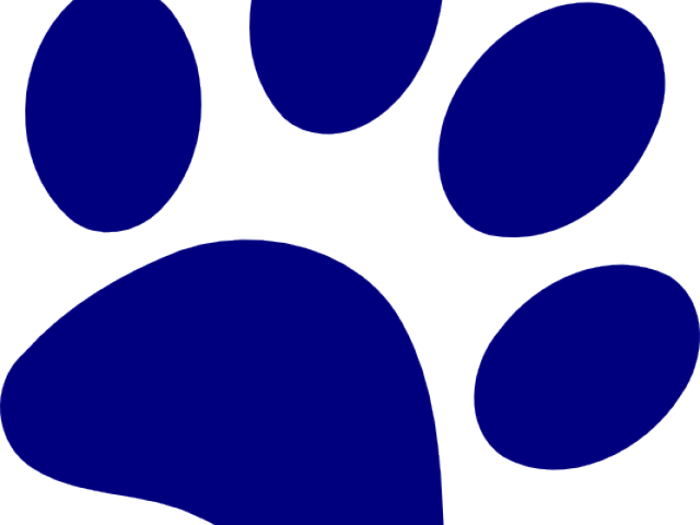 Bobcat Paw Print - Clip Art (640x480)