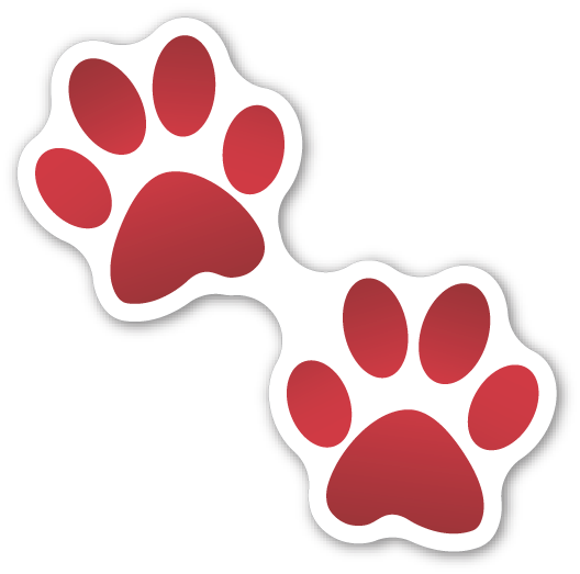 Paw Prints - Dog Paw Print Svg (528x523)