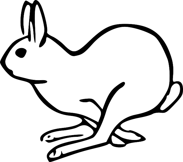 Jack Rabbit Clipart Arctic Hare - Arctic Hare Clipart (640x566)