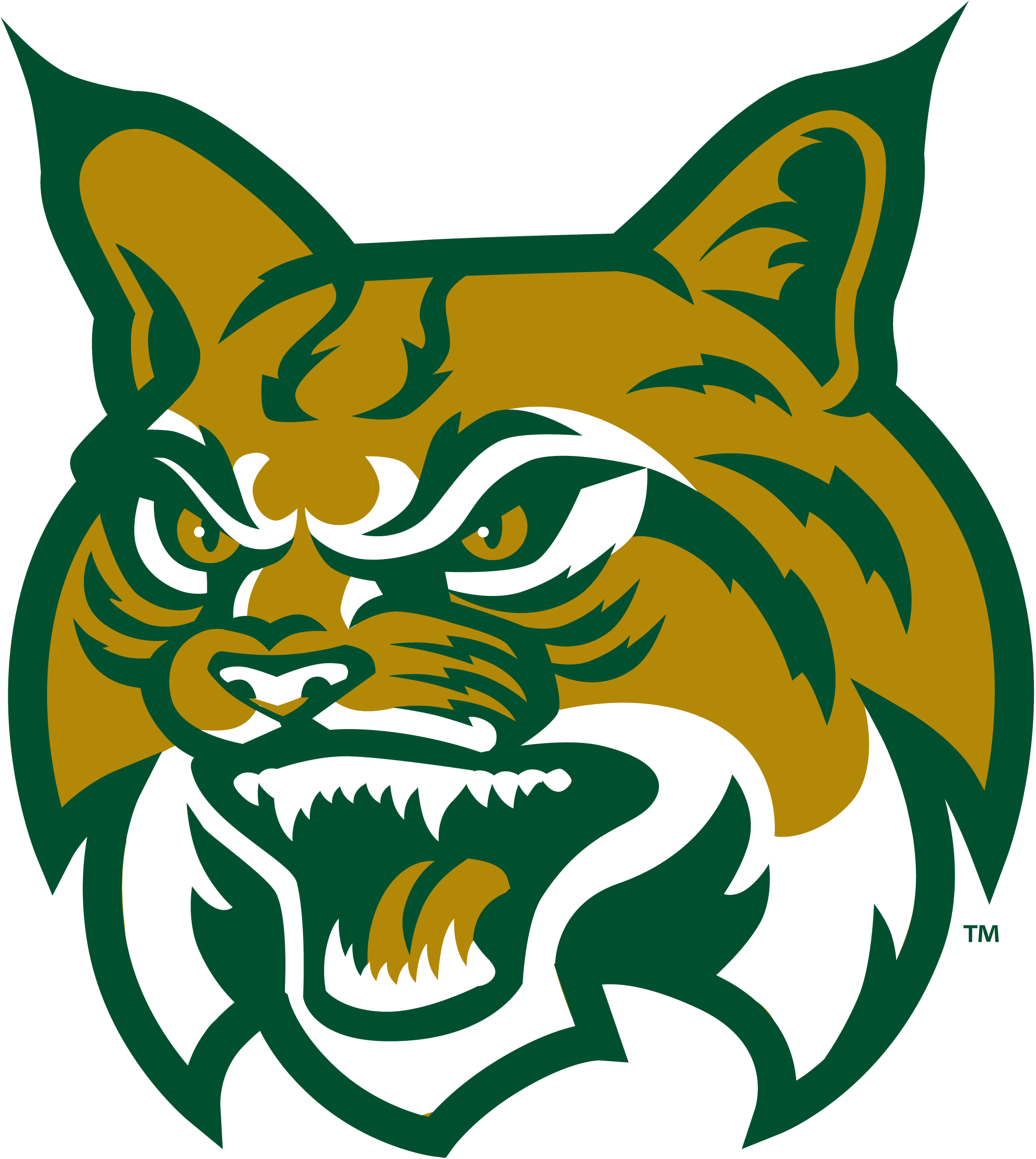 Bobcat Clipart Transparent - East Georgia State College (2000x2237)