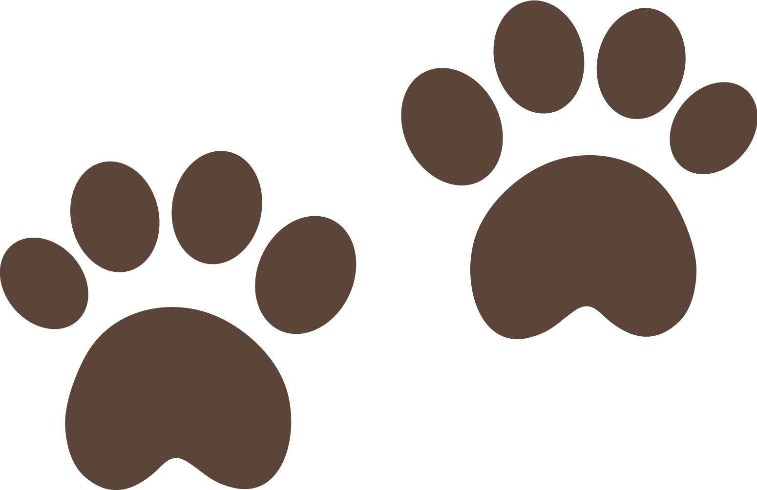 Ursinho Marrom - Patinha De Urso Molde (1550x1004)