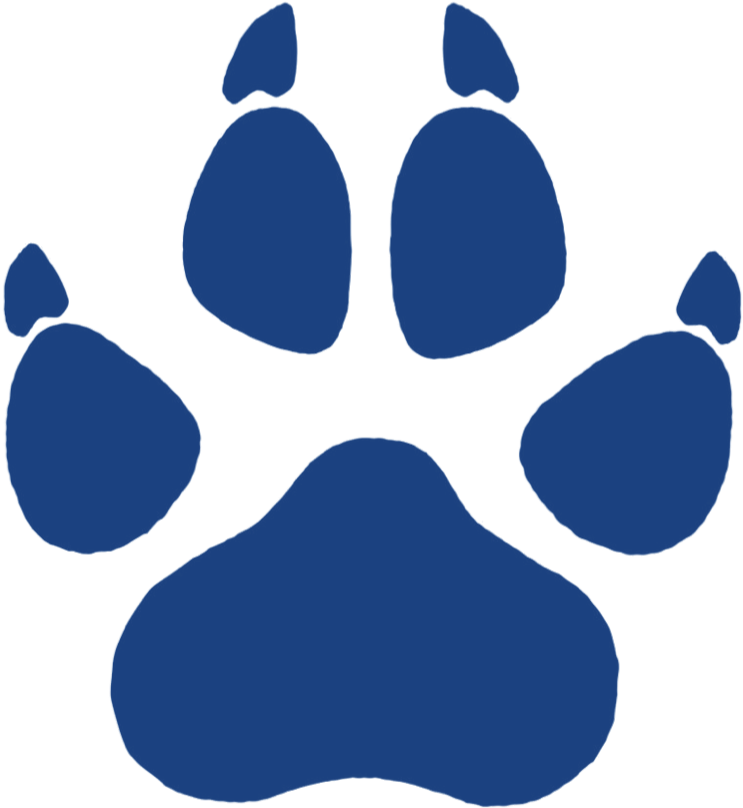 I Am Dog Rescue - Wolf And Paw Print Beach Towel (872x872)