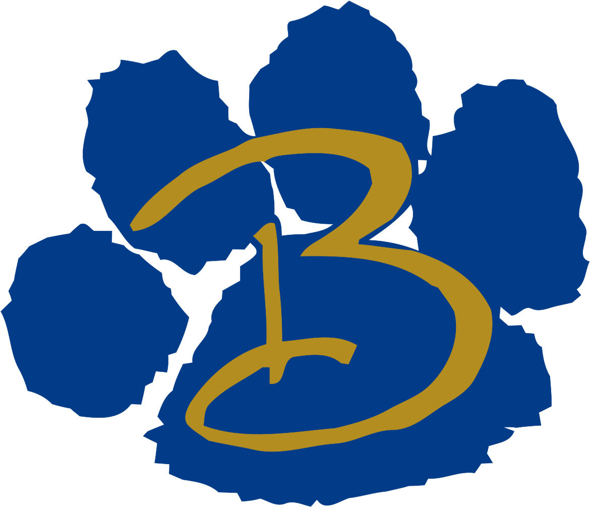 Lima Bath High School Logo (1200x1042)