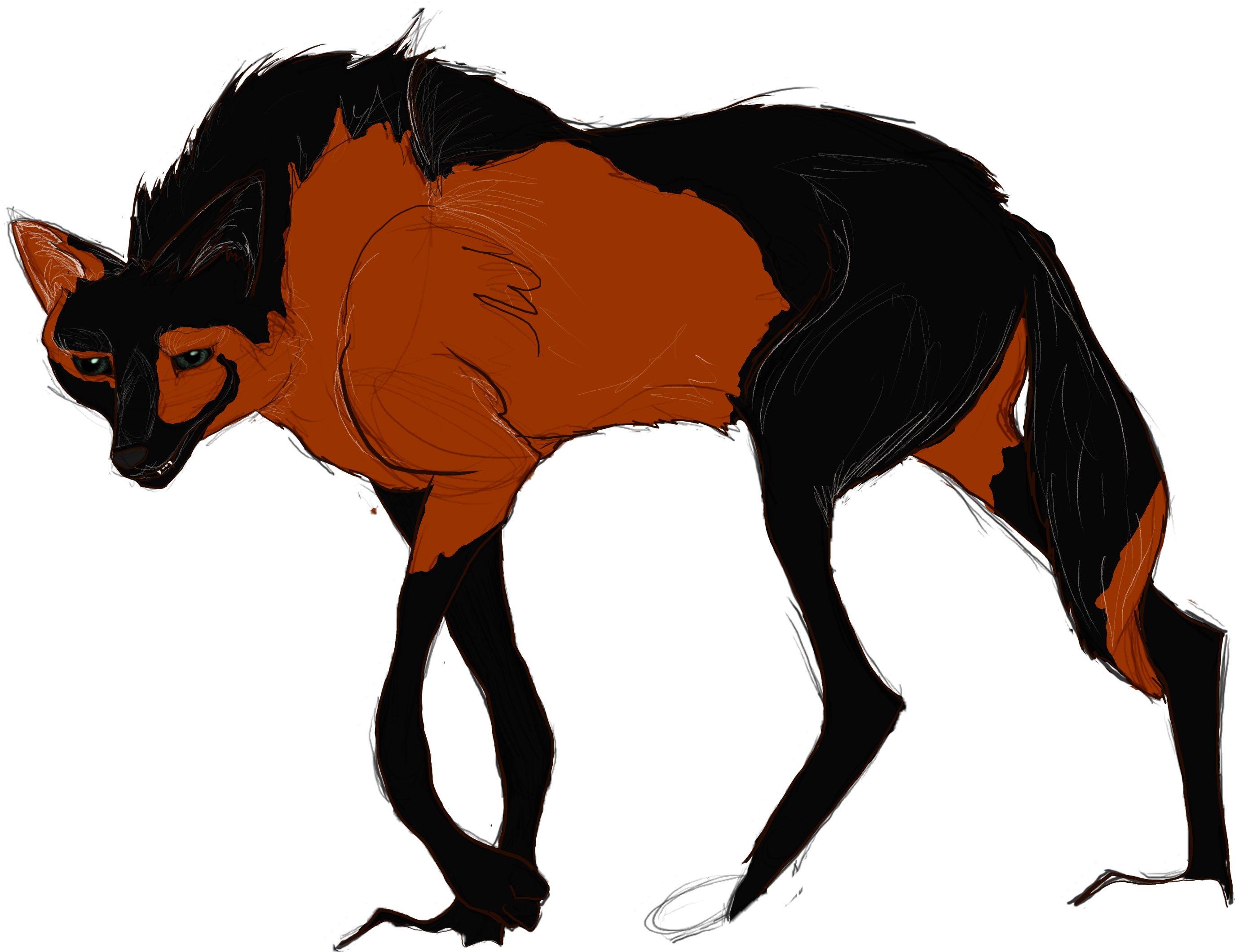 Melanistic Chimera Maned-wolf Design By Newagestables - Maned Wolf Paw Print (3500x2400)