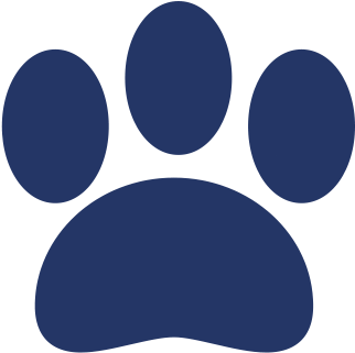 Personalized Customer Service And Peace Of Mind Knowing - Cat (612x599)