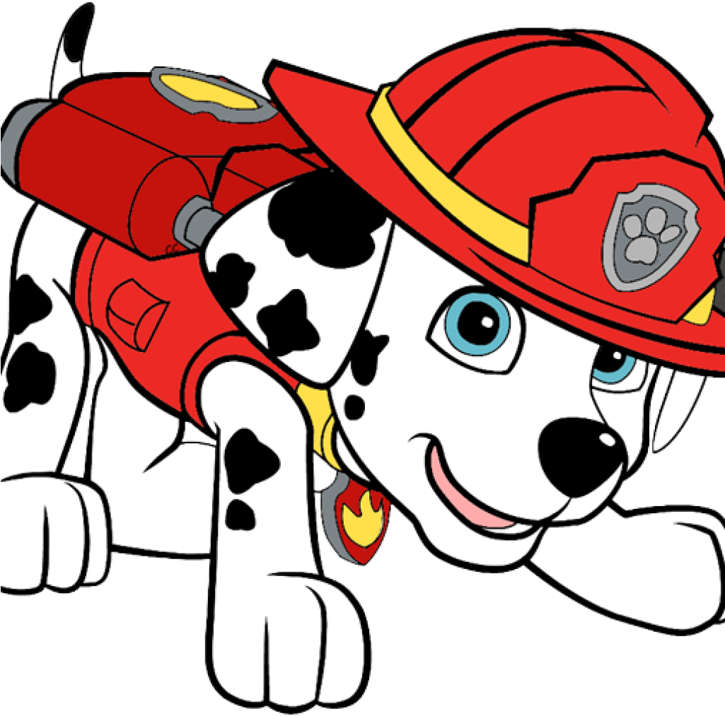 Paw Clipart Paw Patrol Clip Art Cartoon Clip Art Classroom - Paw Patrol Coloring Pages (1024x1024)
