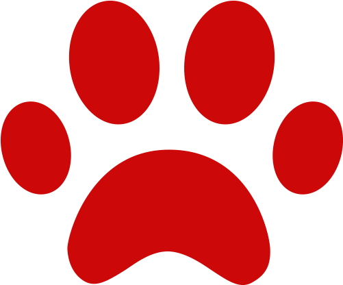 Donate - Cat (500x500)