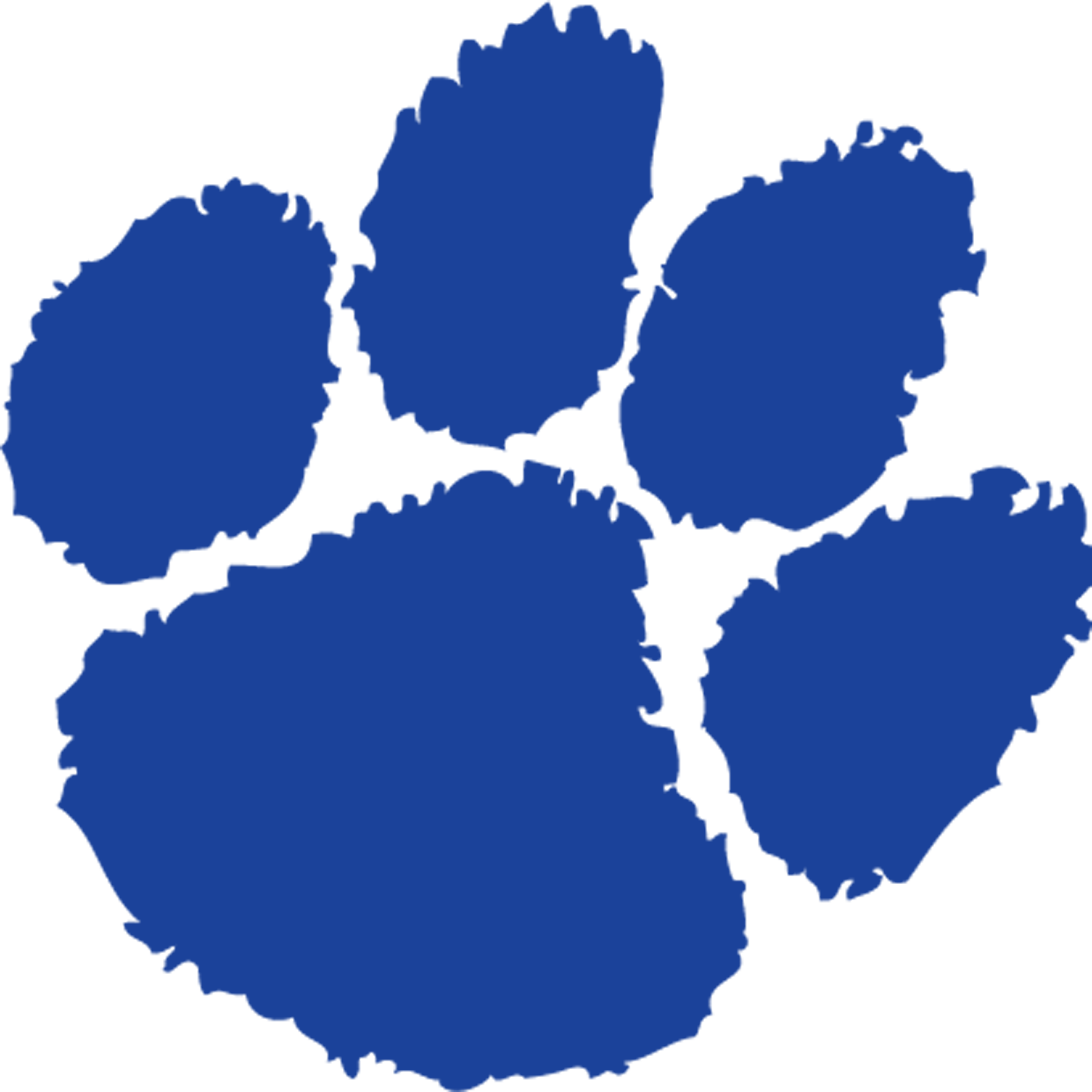 Analy High School - Clemson Tiger Paw Black (2160x2160)