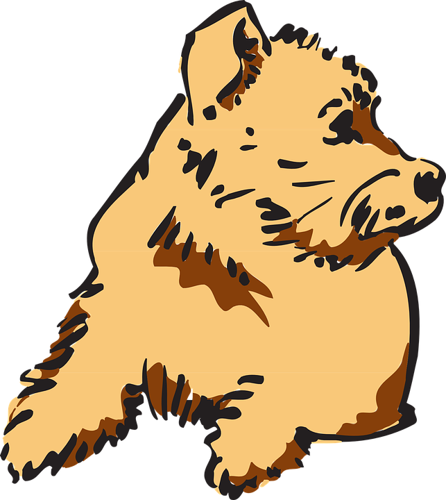 Art, Pet, Animal, Curious, Fur - Furry Animal Clipart (643x720)