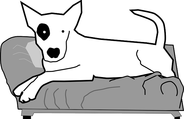 Pet, Animal, Hound, Simple, White, Couch, Sofa - Dog On The Sofa Clipart (640x414)