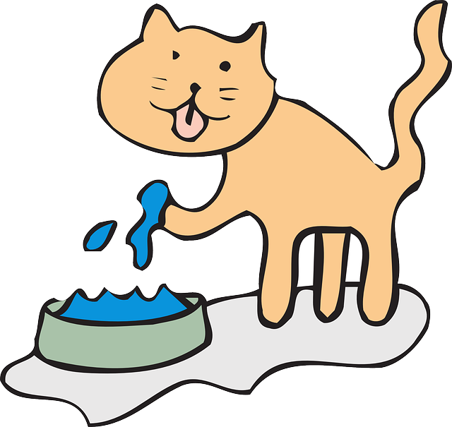 Water, Simple, Bowl, Drinking, Art, Paw, Pet - Cartoon Cats Drinking Water (640x605)