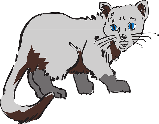Gray, Art, Pet, Animal, Fur - Cat (640x501)