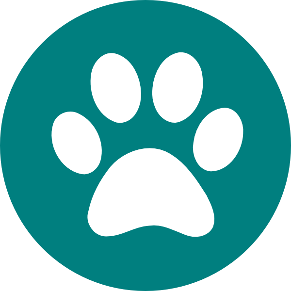 This Free Clip Arts Design Of Pet Png - Pet Vector Png (600x600)