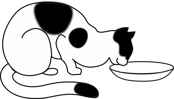 Cat, Bowl, Black, Eating, Pet, Domestic - Cat Eating Coloring Page (597x340)